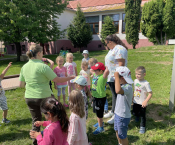 Lesy Rožňava 