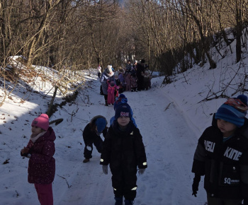 Zeleninový stromček 