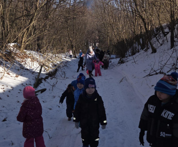 Zeleninový stromček 