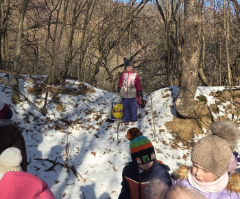 Zeleninový stromček 