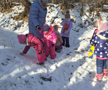 Zeleninový stromček 