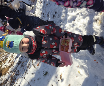 Zeleninový stromček 