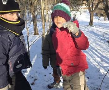 Zeleninový stromček 