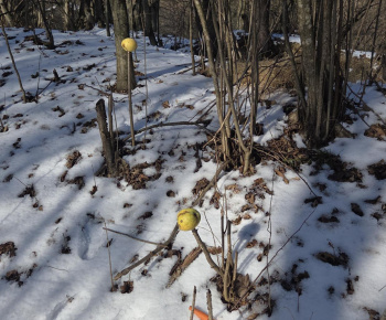 Zeleninový stromček 